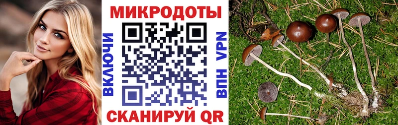 Псилоцибиновые грибы GOLDEN TEACHER  Нижнекамск 